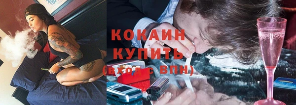 дживик Алексин