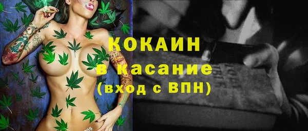 дживик Алексин