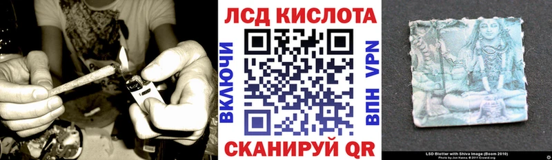 дарнет шоп  Балашиха  Наркотические марки 1,8мг 