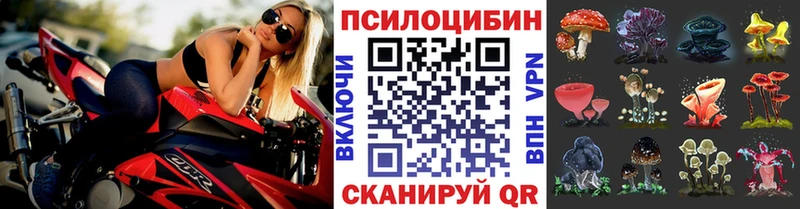 Галлюциногенные грибы GOLDEN TEACHER  Балашиха 