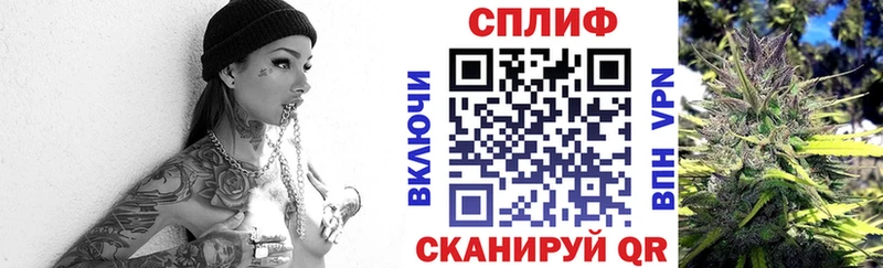 Бошки Шишки планчик  Балашиха 
